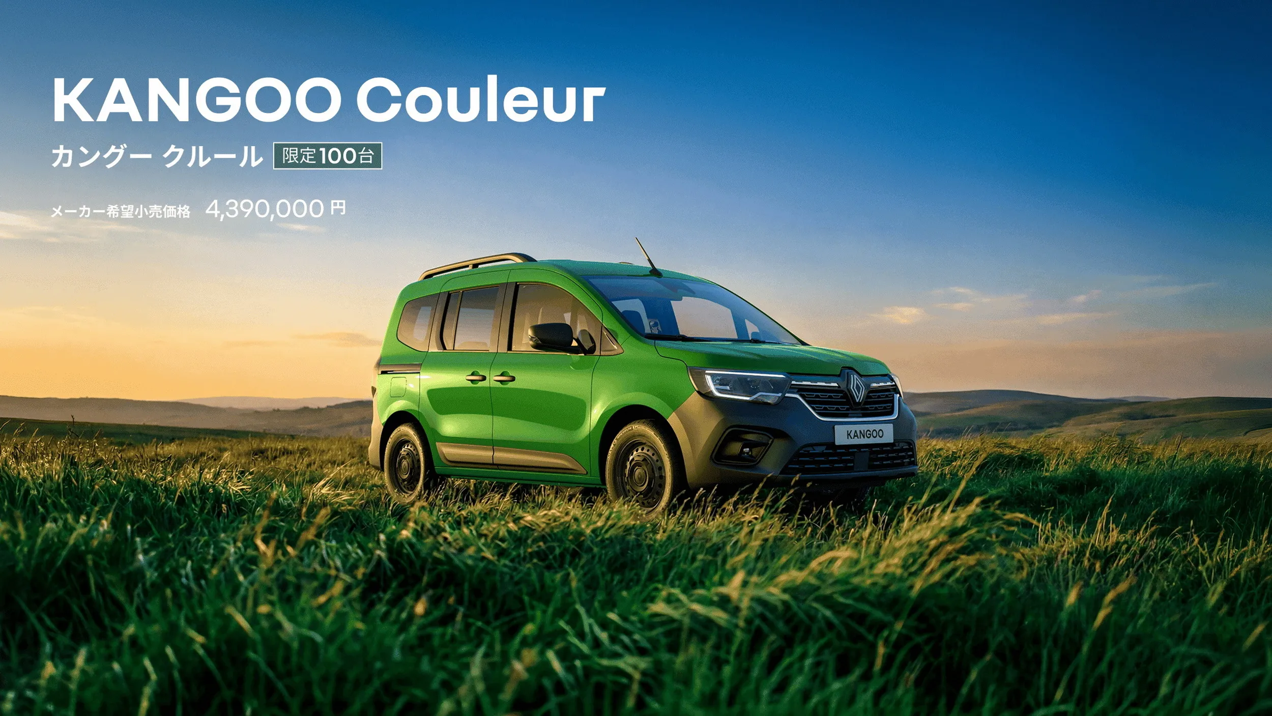 Renault Kangoo Couleur